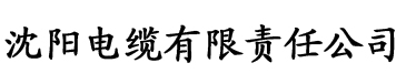 香蕉视频直电缆厂logo